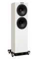 Bild 1 von Fyne Audio F-703 SP  / (Gehäuse) weiß hochglanz